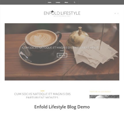 08 Lifestyle blog